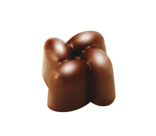 Moule Chocolat - PC12