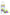 AROME MF VERVEINE